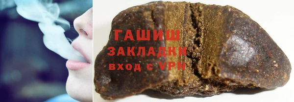 прущие грибы Гусев