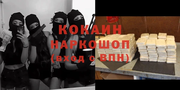 прущие грибы Гусев