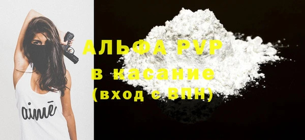 прущие грибы Гусев