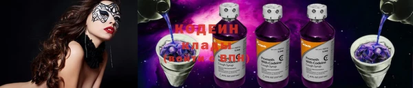 прущие грибы Гусев