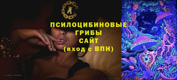 мет Гусиноозёрск
