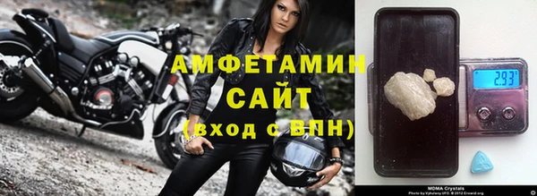 прущие грибы Гусев