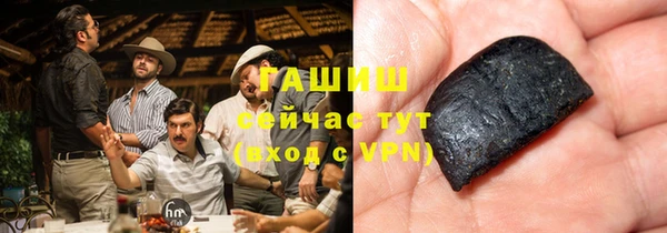 прущие грибы Гусев